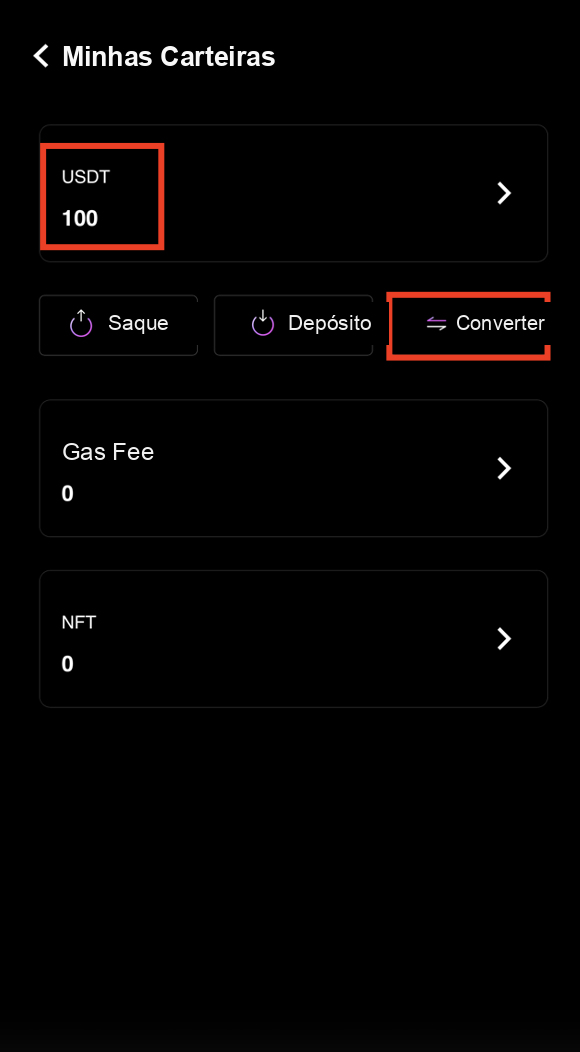 USDT recebido na carteira CoinTech2u toque em Converter