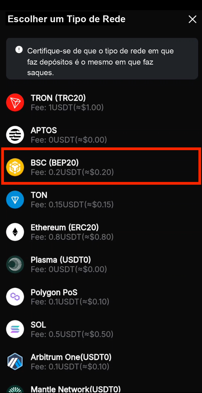 Selecionar a rede BEP20 na Bybit