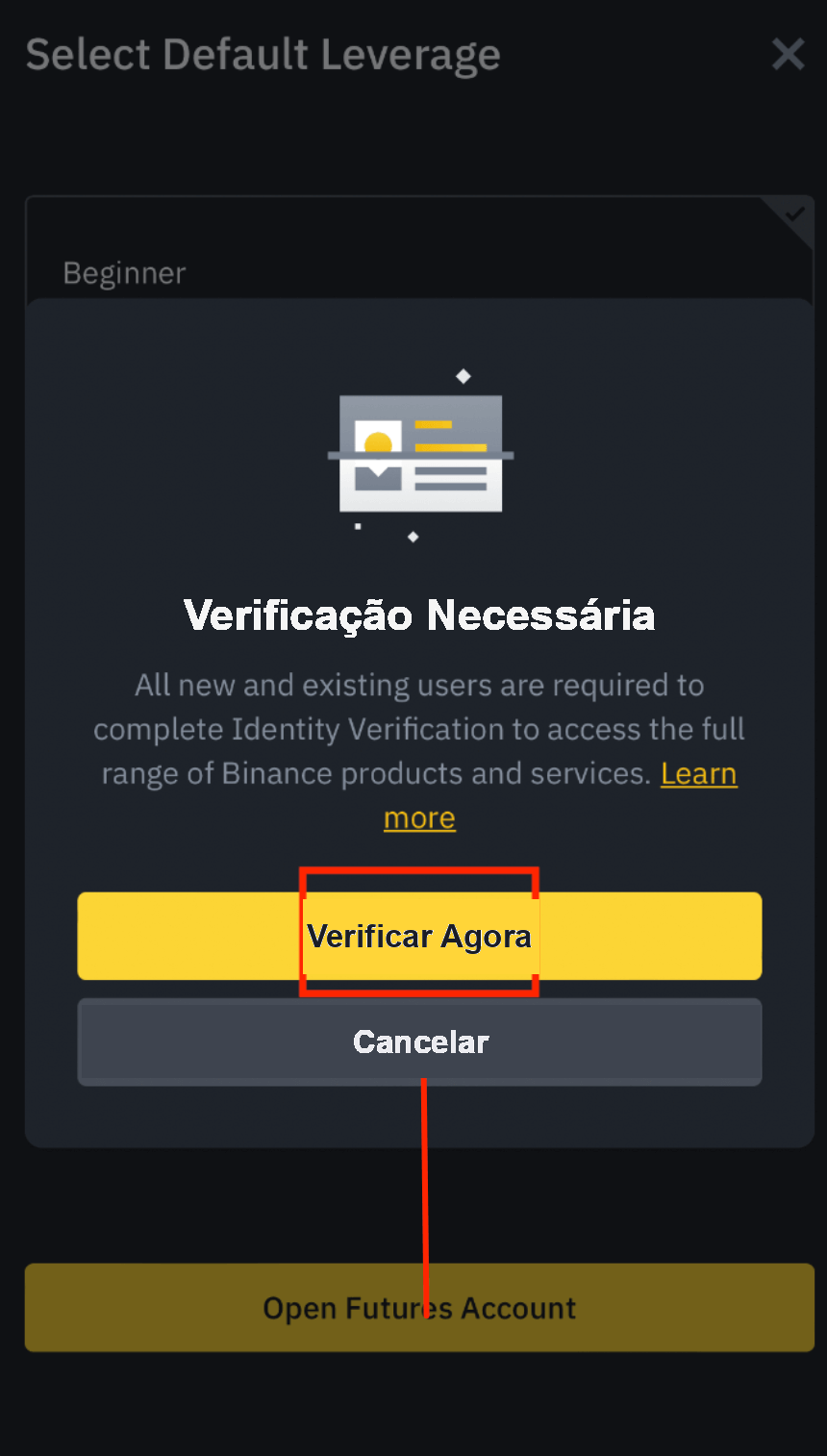 Selecionar usuário experiente com alavancagem de 20x na Binance
