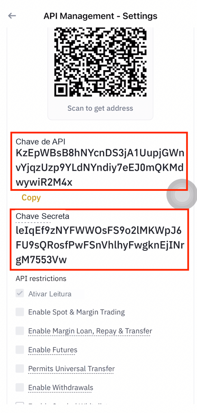 Copiar a Chave de API e a Chave Secreta da Binance