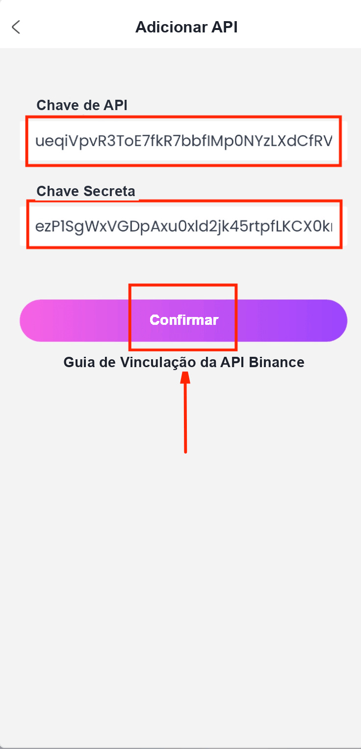 Colar a Chave de API e a Chave Secreta no CoinTech2u