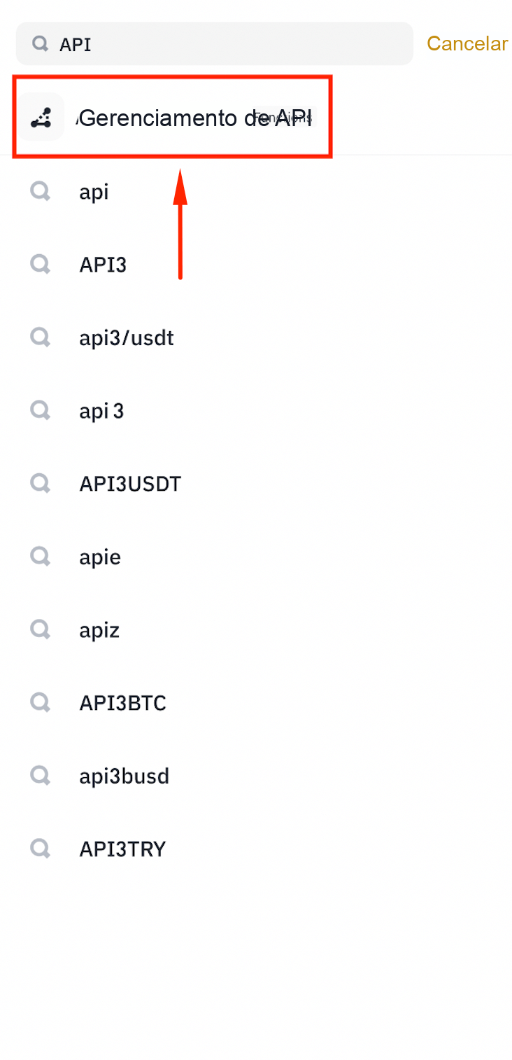 Gerenciamento de API da Binance