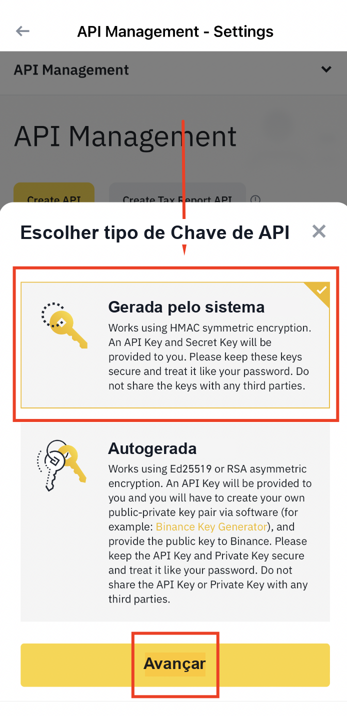 Opção de chave de API gerada pelo sistema