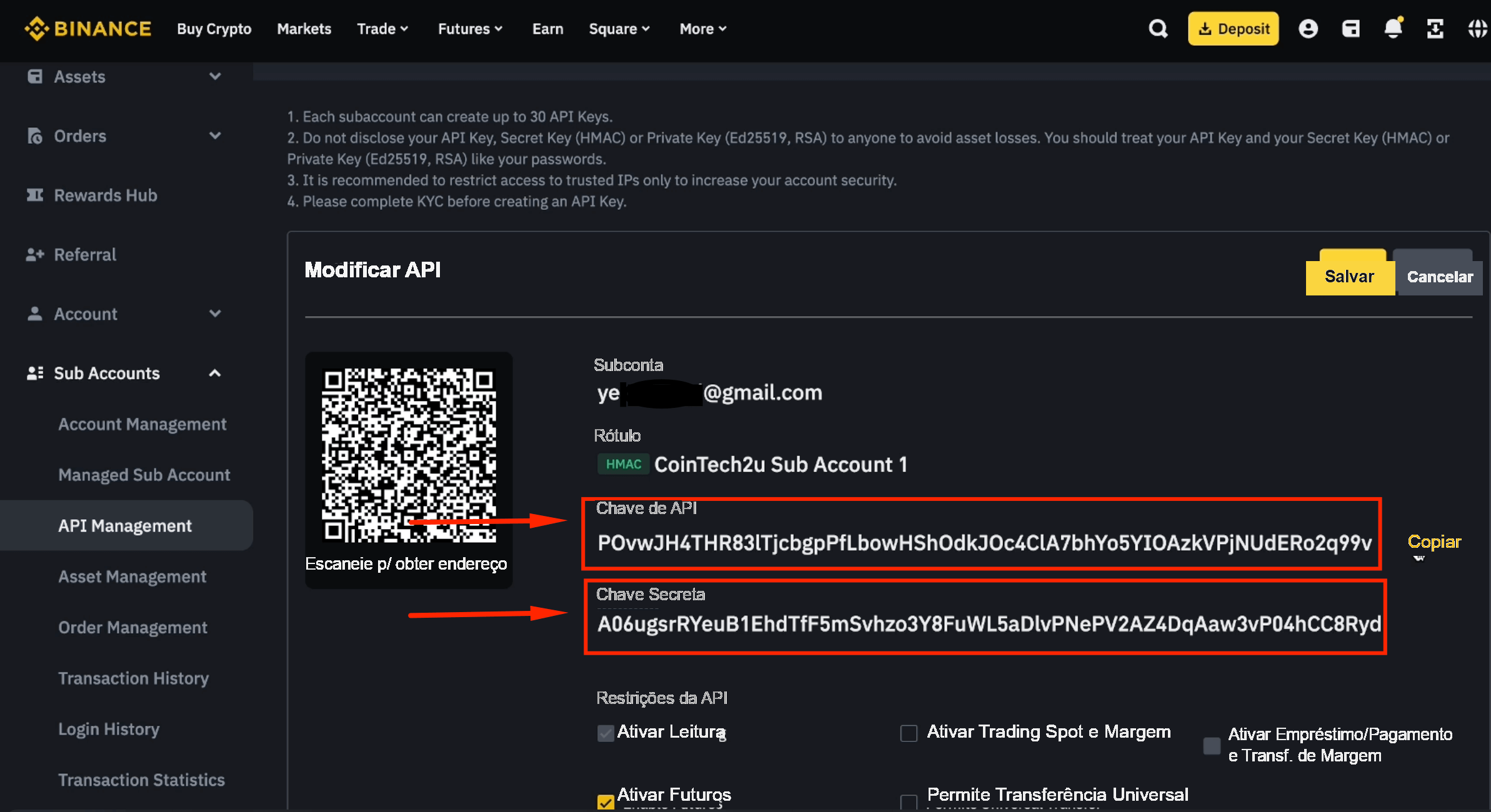 Copiar a chave de API e a Chave Secreta da subconta