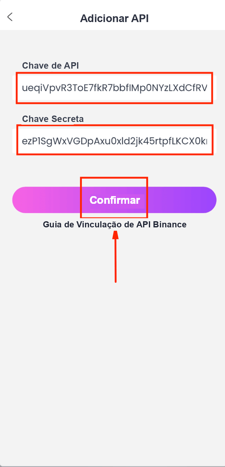 Colar as credenciais de API da subconta no CoinTech2u
